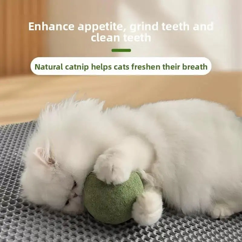 2 Packs 10Cm Large Catnip Ball Self-Entertaining Teething Cat Toy Dental Cleaning Chew Resistant Cat Grass Hairball Remover Interactive Cat Toy