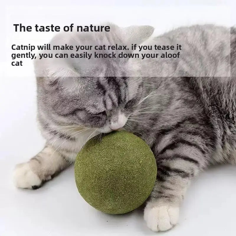 2 Packs 10Cm Large Catnip Ball Self-Entertaining Teething Cat Toy Dental Cleaning Chew Resistant Cat Grass Hairball Remover Interactive Cat Toy