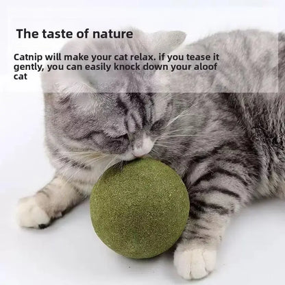 2 Packs 10Cm Large Catnip Ball Self-Entertaining Teething Cat Toy Dental Cleaning Chew Resistant Cat Grass Hairball Remover Interactive Cat Toy