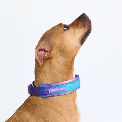 Spark Paws Martingale Dog Collar – Cushioned Slip-On Training Collar, Heavy Duty, Safety-Tested No-Buckle Collar for Medium & Large Dogs
